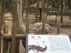 -昆山城市生态森林公园