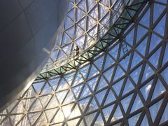 -陕西自然博物馆