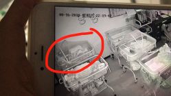 -母仪天下月子中心(光谷店)