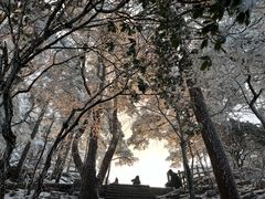 -黄山风景区