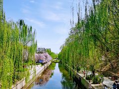 -海棠花溪(元大都城垣遗址公园)