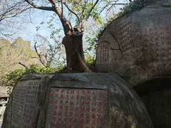 -乌山风景区