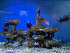 -太平洋海底世界