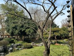 -新荣记(西溪湿地店)