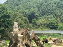 -杭州野生动物世界