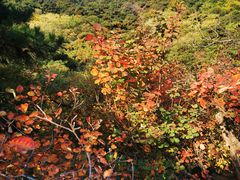 -香山公园