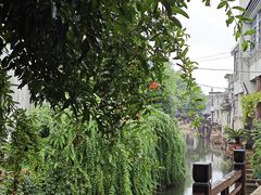 -丝绸小镇荻港古村