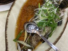 沙巴龙躉仔-嘉豪酒家(上环店)