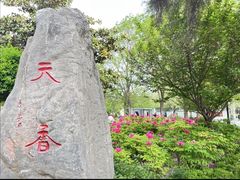 -洛阳市牡丹公园