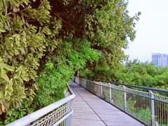 -佛山华盖山公园