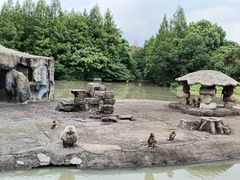 -宁波野生动物园