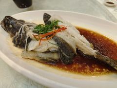 清蒸龙胆鱼-华兴大酒楼(亿宝大厦店)