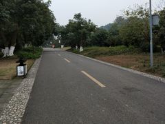 -张坝桂圆林公园