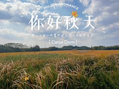 -良渚古城遗址公园