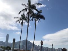 -香港皇家太平洋酒店