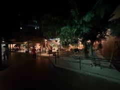-磁州窑博物馆