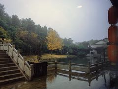 -明翠湖品·湖景餐厅
