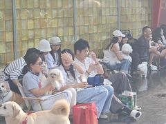 -福田卓悦INTOWN购物中心