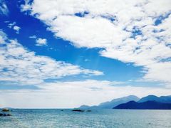 -花海间·即刻露营