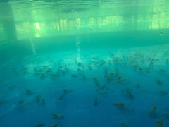 -SHRIMP CLUB万东餐饮钓虾·清吧