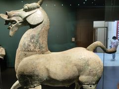 -广西壮族自治区博物馆