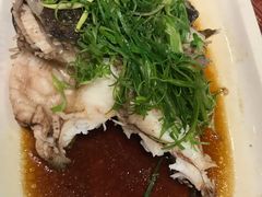 清蒸石头鱼-鸿星海鲜酒家(格兰中心店)