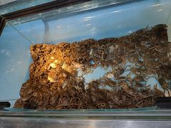 -圣罗巴海鲜烤肉自助(佳兆业店)