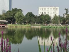 -西海子公园