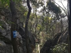 -九曜山