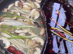 -乖嬢嬢重庆老火锅(南联店)