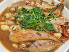 -杨辉饭店