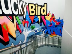 -金吉鸟健身游泳