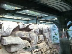 -泉州海丝野生动物世界