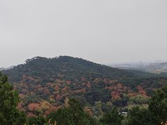 -红螺寺