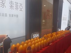 -索菲亚衣柜橱柜全屋定制(真北红星店)