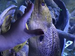 -成都浩海立方海洋公园