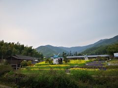 -宁波浙东大竹海景区