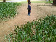 -人民公园(罗湖区)