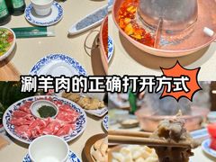 -东镇老火锅(长春路首店)