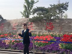 -荷兰花海