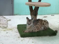 -北京野生动物园