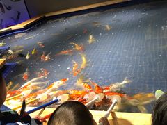 -昆明大悦城未来动物城(螺蛳湾中心店)