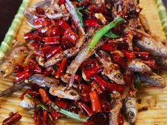 -西昌缸窑鲜鱼府