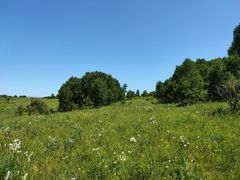 -塞罕坝国家级自然保护区