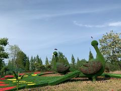 -泗洪洪泽湖湿地景区