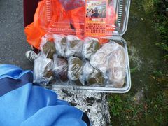 DSCF0541-阿兰草仔粿