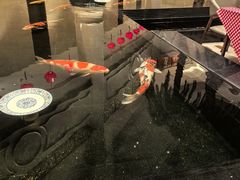 -唐山河头老街国丰维景国际大酒店