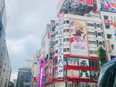 -秋叶原电器街