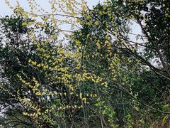 -梅岭月亮湾山体公园