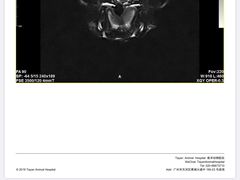 -泰洋动物医院·神经专科·磁共振·CT(天河公园总院)